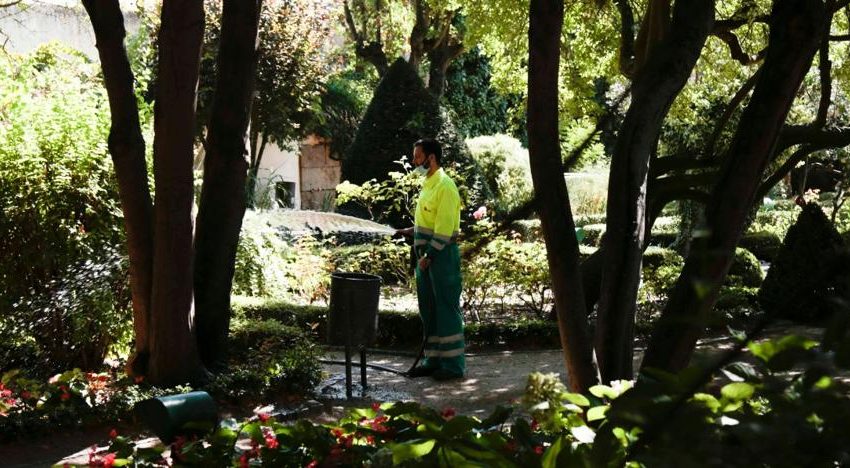 El contrato municipal de mantenimiento de parques y jardines enfrenta a ‘populares’ y ‘socialistas’ en Salamanca