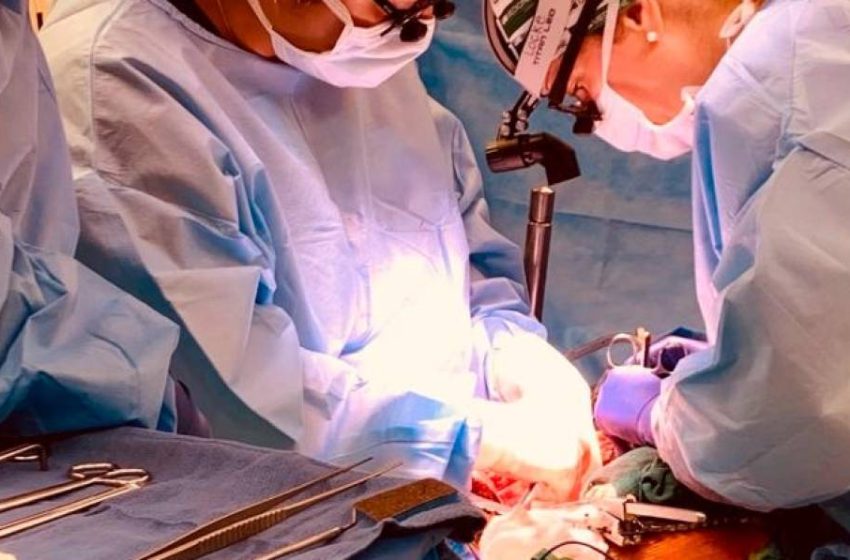  Los trasplantes que vienen para aprovechar más órganos en el Hospital