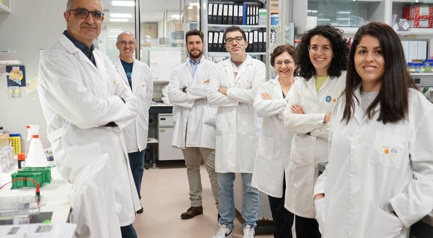  Investigadores del CIC de Salamanca descubren un nuevo gen inductor de cáncer y sus debilidades terapéuticas