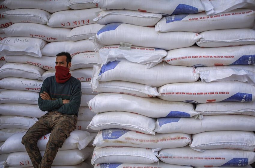  La FAO anticipa efectos «significativos» en la alimentación mundial por la guerra en Ucrania