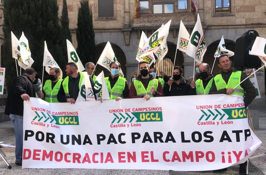  Los representantes salamantinos de la Unión de Campesinos de Castilla y León reivindican unos precios justos
