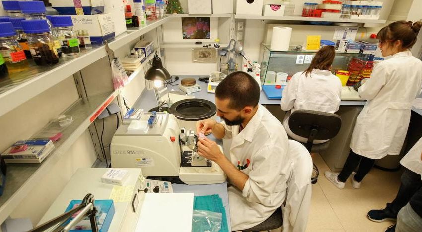  El CIC de Salamanca lidera dos proyectos internacionales para avanzar en la detección precoz de la leucemia linfática crónica