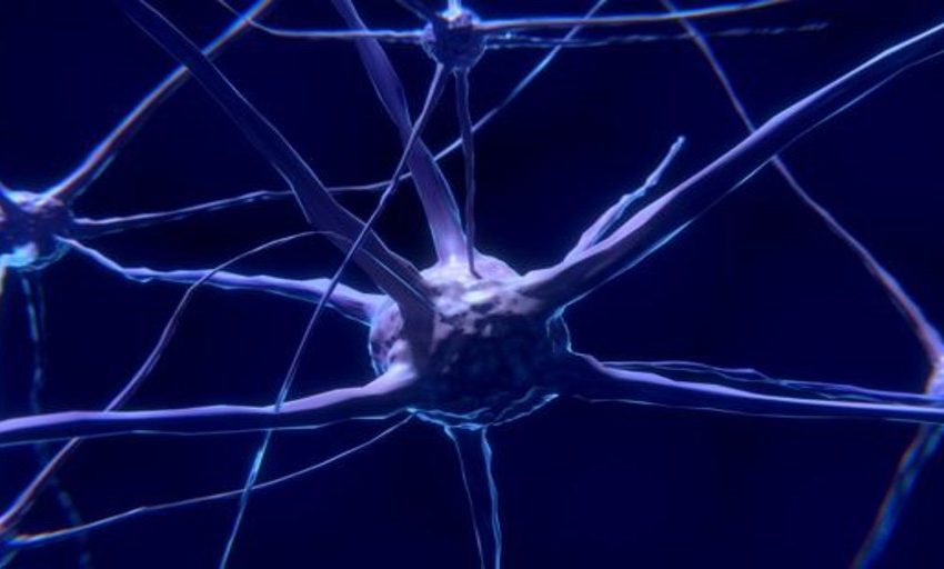  Los pacientes con alzhéimer tienen una mayor cantidad de mutaciones de ADN en sus neuronas
