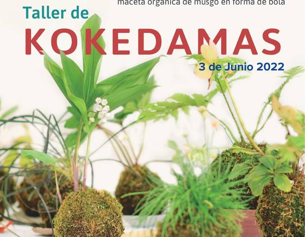  El proyecto LIFE Vía de la Plata acerca a Salamanca la técnica japonesa vegetal de las Kokedamas