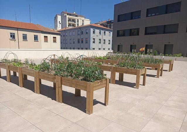  El Ayuntamiento de Salamanca habilita una veintena de mesas de cultivo para los inquilinos del Centro de Convivencia Victoria Adrados