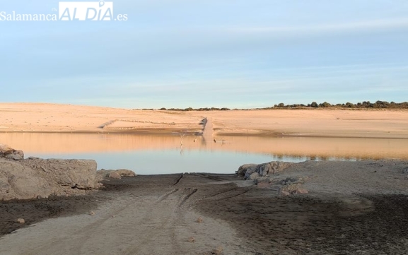  ASAJA Salamanca pide medidas urgentes para garantizar el suministro de agua a la ganadería extensiva