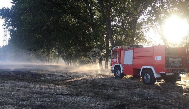  Los incendios de pelusas continúan movilizando a los bomberos: los dos últimos, en Cabrerizos y en Santa Marta
