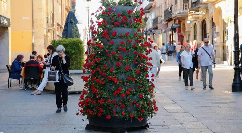  Salamanca amplía la decoración ornamental con plantas de flor para llenar de color las calles en verano