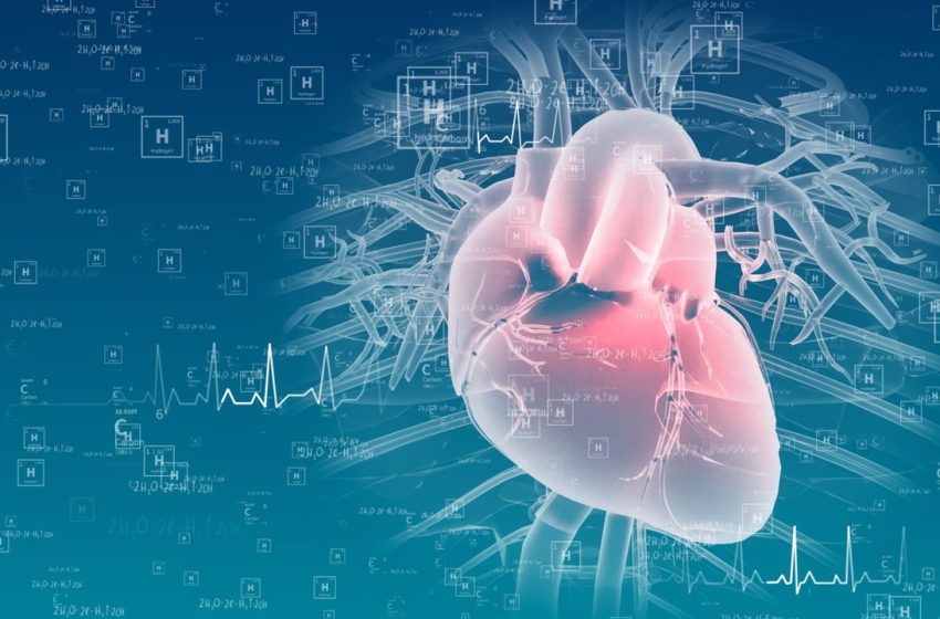  Las células progenitoras cardíacas pueden generar tejido sano tras un infarto