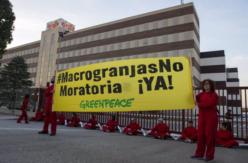  Greenpeace bloquea la entrada a la fábrica El Pozo en Alhama de Murcia (Murcia) en protesta contra las ‘macrogranjas’