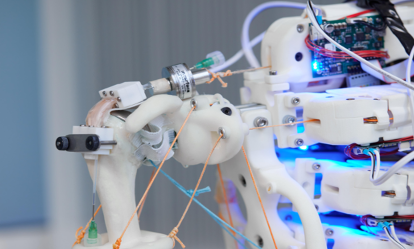  Reconstruyen tejidos humanos con un robot