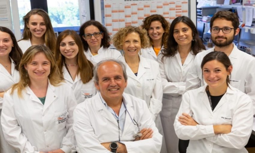  Investigadores españoles ‘potencian’ unas células inmunitarias frente al cáncer