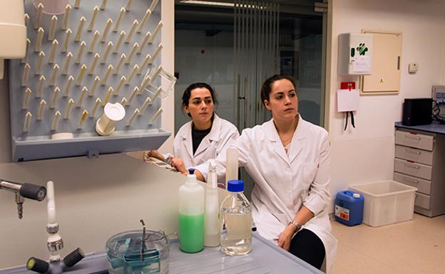 Investigadoras en un laboratorio de la Universidad de Salamanca. 