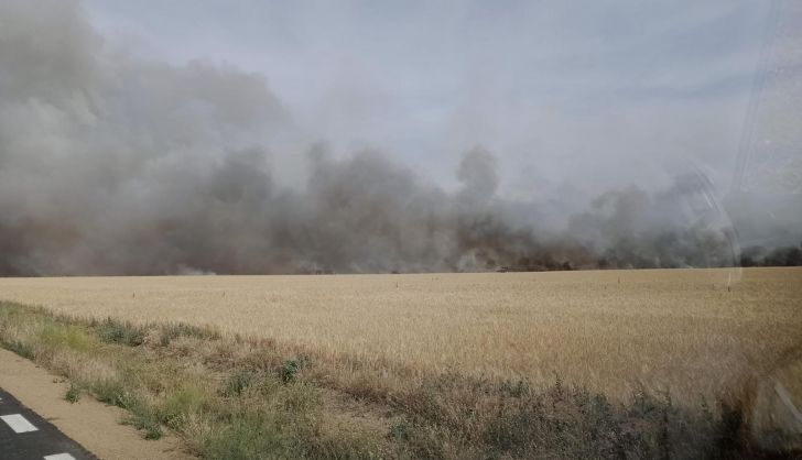  Los bomberos logran extinguir las llamas en un terreno de cultivo próximo a Pedrosillo de Alba, casi cuatro horas más tarde