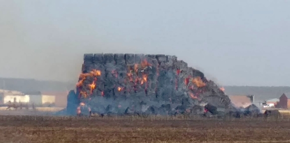  Un potente incendio arrasa una gran superficie de cultivo a las puertas de Pedrosillo de Alba