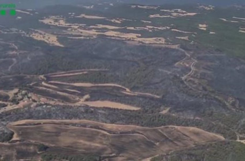  Los Bombers logran estabilizar el incendio forestal en Castellar de la Ribera (Lleida)