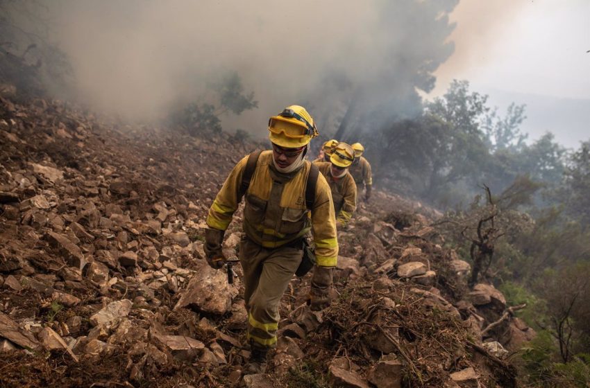  Más de 350 efectivos de la Junta, MITECO, UME y varias CCAA trabajan en el incendio de la Sierra de la Culebra (Zamora)