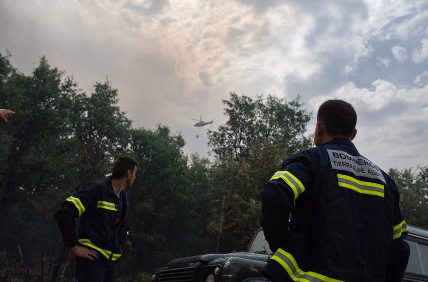  Suspendido el tráfico durante este sábado en AVE Madrid-Galicia por el incendio de Zamora y 1.800 viajeros afectados