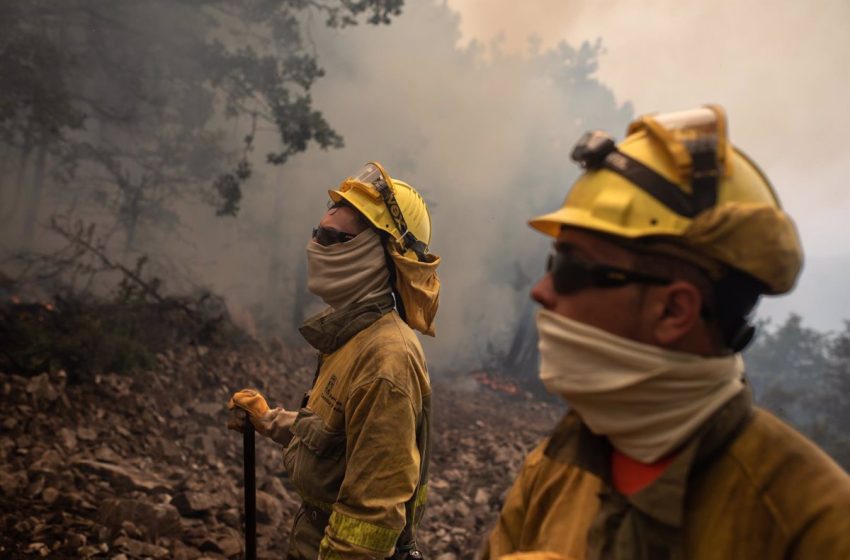  El incendio en la Sierra de la Culebra obligan a cortar el AVE a Galicia