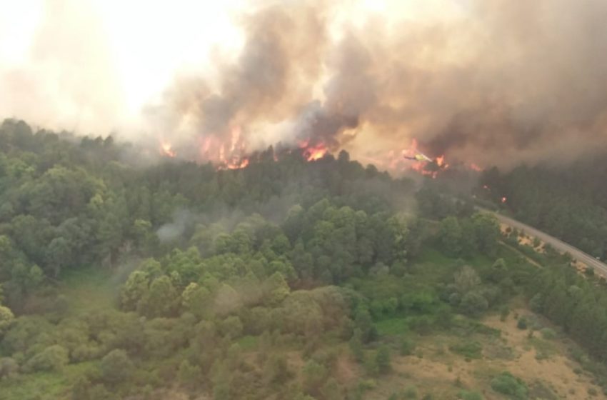  Tras dejarse quemar la Sierra de la Culebra Mañueco actuará como en Gredos