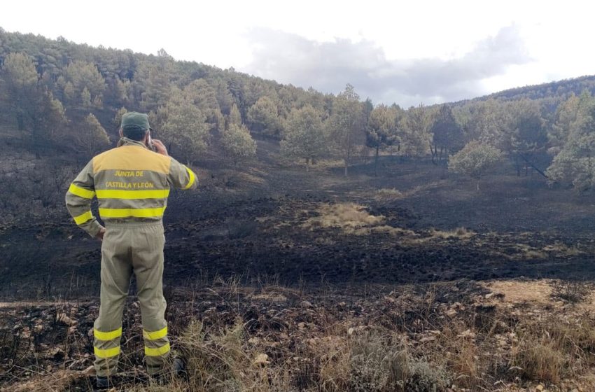  UGT pedirá responsabilidades penales por el incendio en Zamora