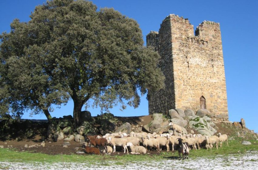  La Torre de Santibáñez de Béjar, en la Lista Roja del Patrimonio
