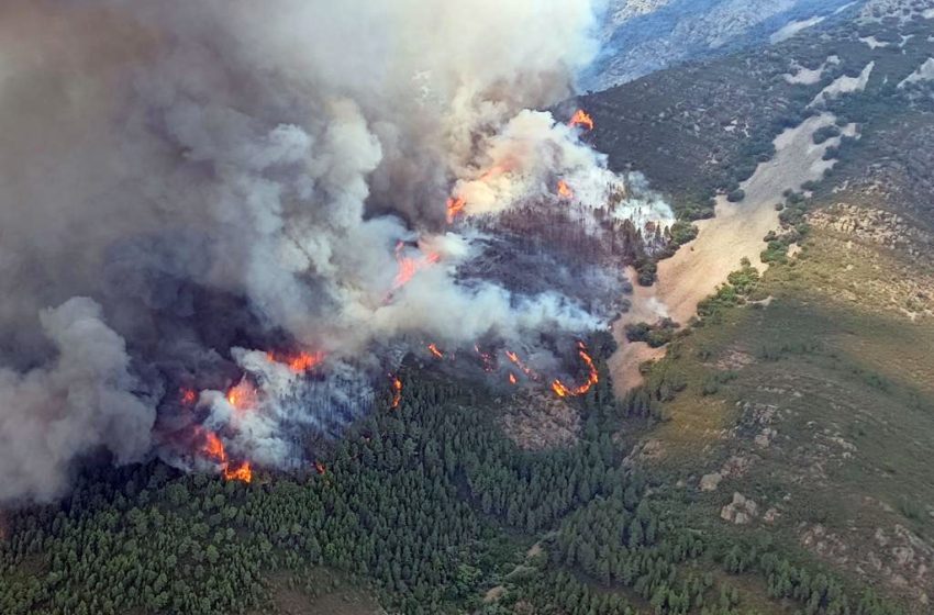 La Sierra de Francia arde por Cepeda