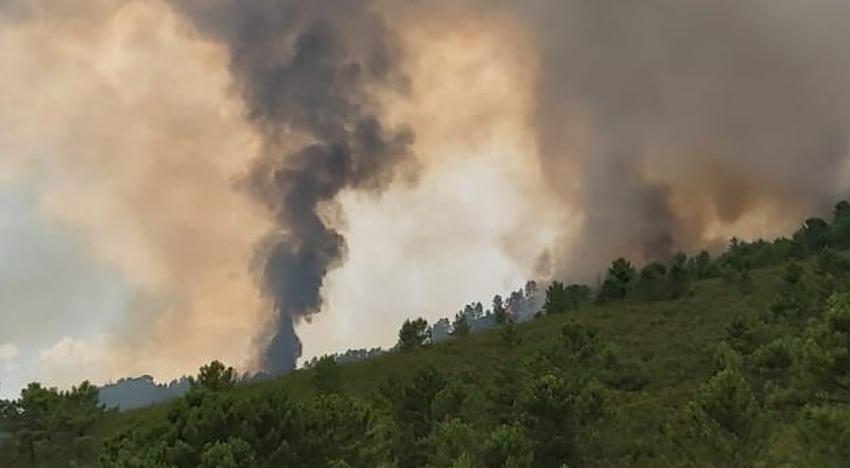  Cuatro fuegos en la provincia de Salamanca movilizan a medios aéreos y terrestres