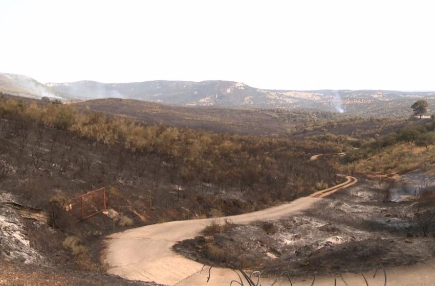  El fuego ha arrasado 1.000 hectáreas en Casas de Miravete y ya ha llegado al Parque Nacional de Monfragüe