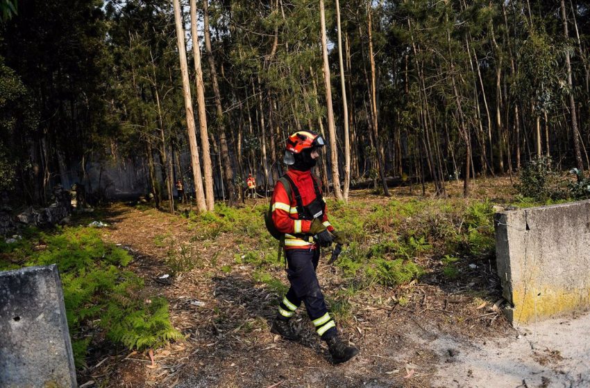  Unos 800 efectivos de Bomberos de Portugal combaten contra once incendios activos en el país