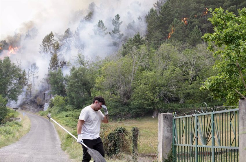  Los incendios forestales en Galicia arrasan ya más de 4.700 hectáreas, la mayoría en Lugo y Ourense
