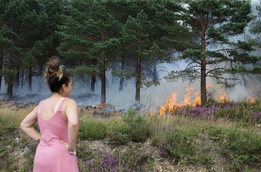  La Xunta dice tener controlado el 90% del perímetro de los incendios de Lugo, que quemaron casi 3.000 hectáreas