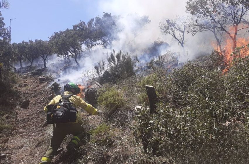  Estabilizado el incendio forestal declarado el viernes en la Sierra de Mijas