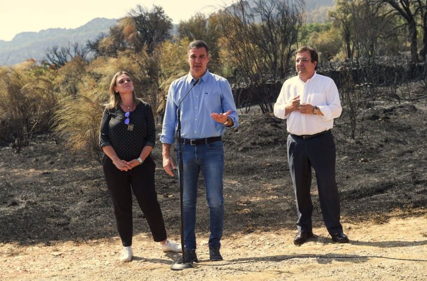 Sánchez reafirma que luchar contra la «emergencia climática», responsable de los incendios debe ser «política de estado»