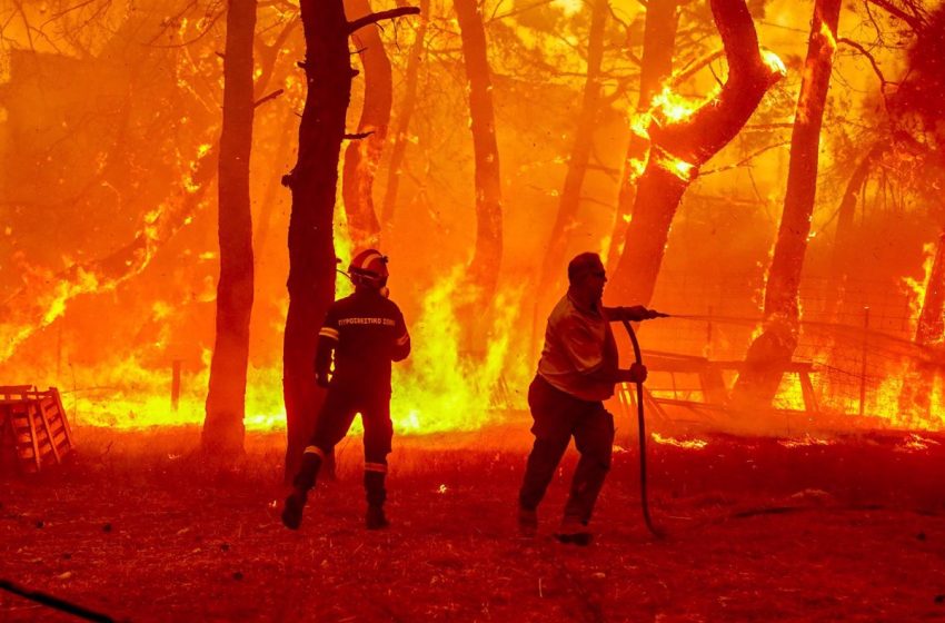  Los incendios en la isla griega de Lesbos y en el parque nacional de Dadia siguen fuera de control
