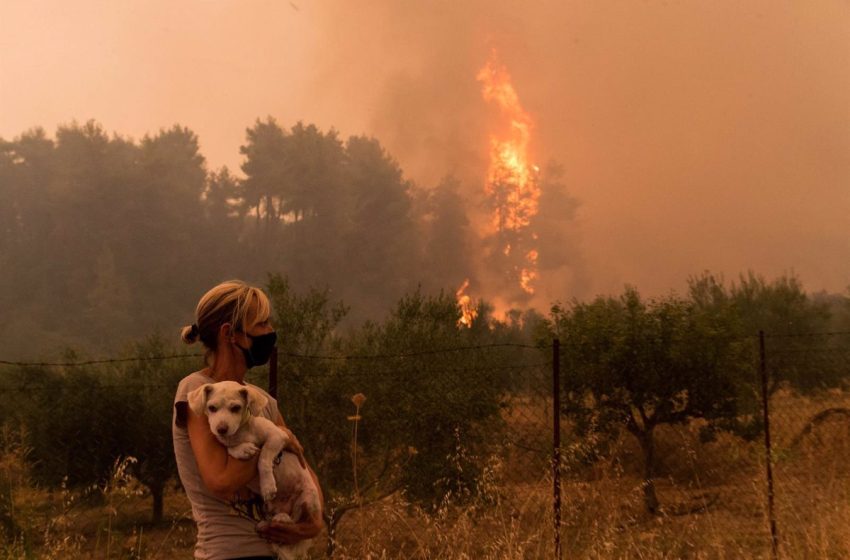  Los bomberos luchan contra las llamas por quinto día consecutivo en el parque nacional de Dadia, en Grecia