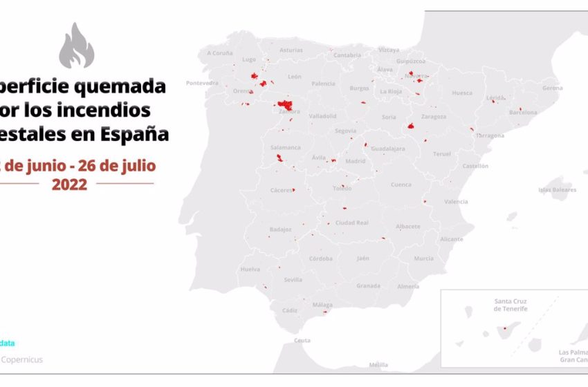  Este mapa muestra en detalle las superficies quemadas por los incendios forestales de junio y julio en España