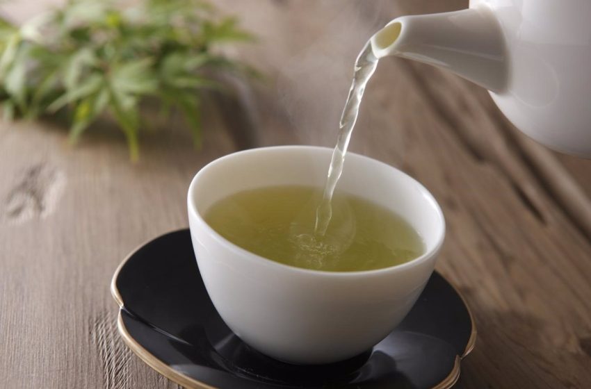  El té verde favorece la salud intestinal y reduce el azúcar en sangre