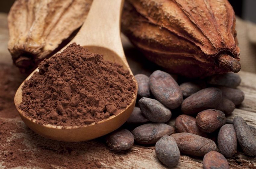  El cacao baja la tensión (pero sólo si está alta) y reduce la rigidez arterial
