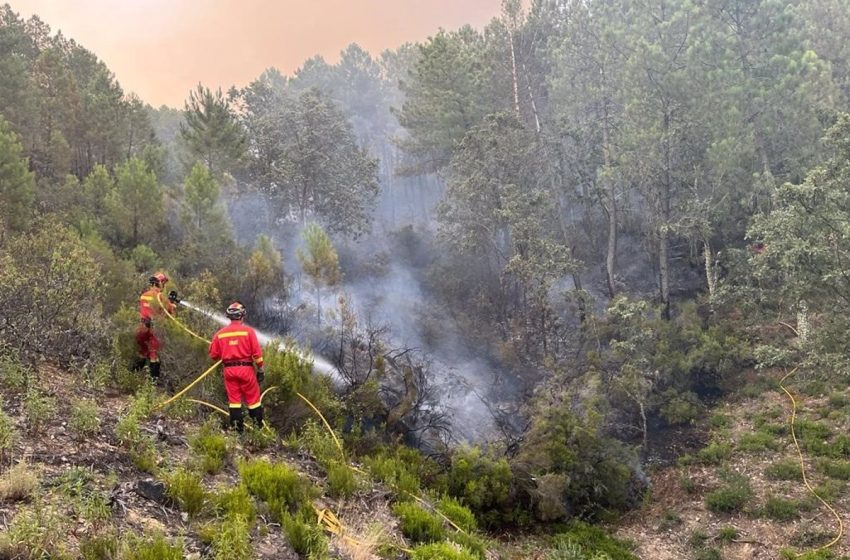  Los medios aéreos dejan el incendio de Sevilleja que rebaja los efectivos a 32 personas y 7 terrestres