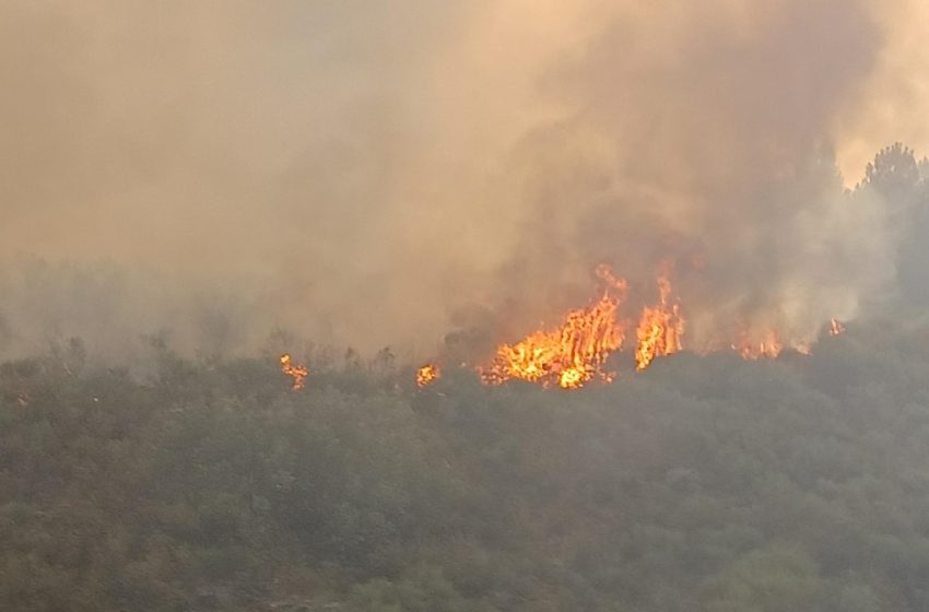  Virulento incendio en la Sierra de Francia