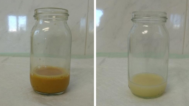 La coloración desaparece con el tiempo como se puede ver en las imágenes: a la izquierda la leche el día 3 y a la derecha el 6