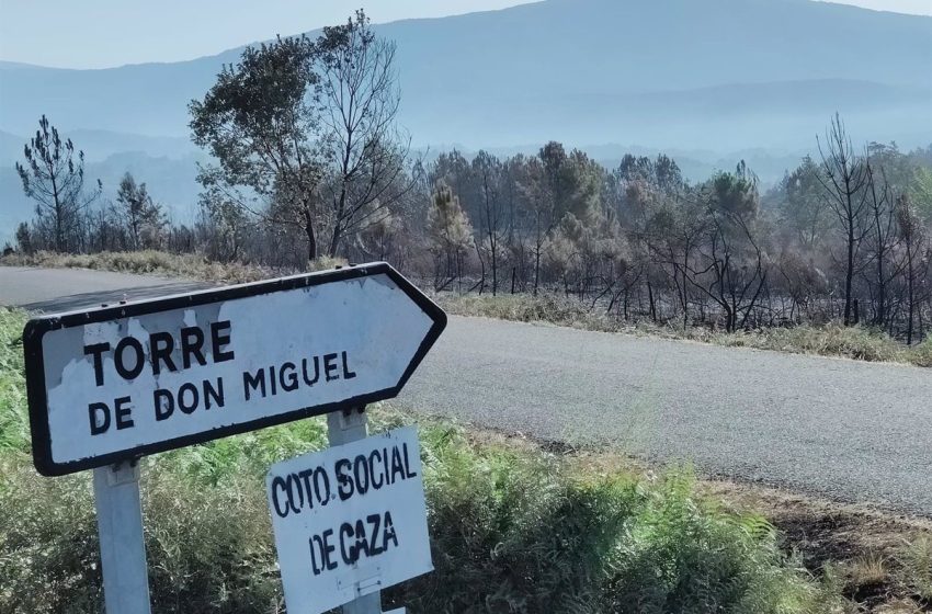  Los vecinos de Torre de Don Miguel ya pueden volver a sus casas tras el incendio en Sierra de Gata