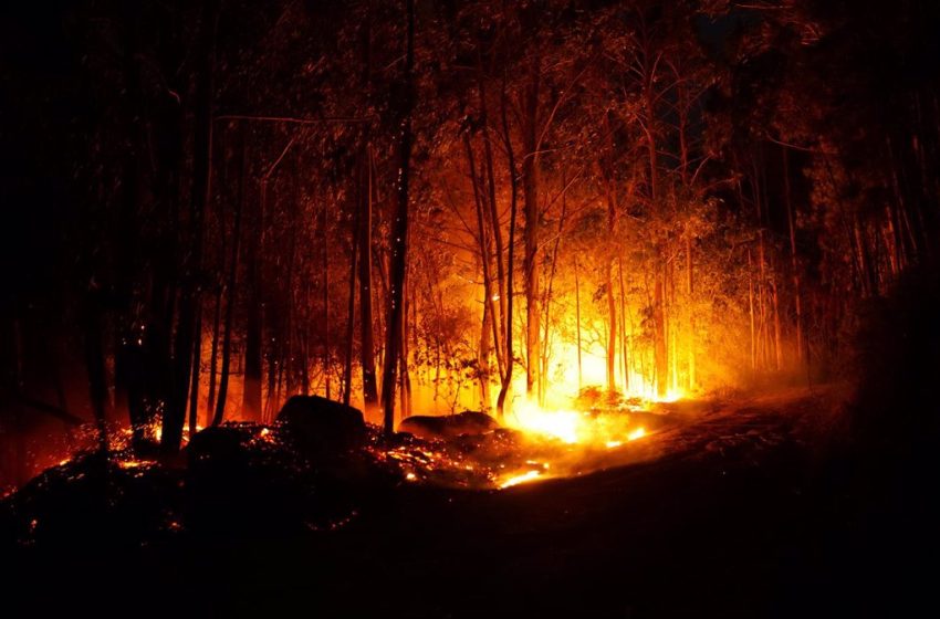  Un total de 9 incendios sin extinguir queman cerca de 3.700 hectáreas en Galicia
