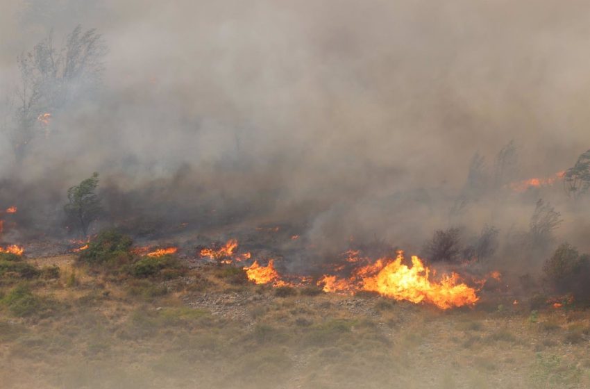  Estabilizado el incendio forestal de Añón del Moncayo