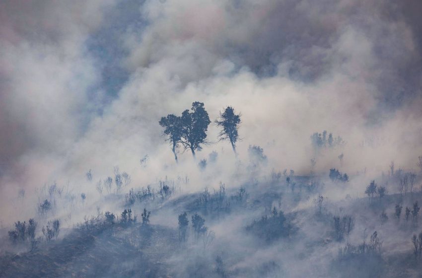  Más de 286.000 hectáreas han ardido en España en lo que va de año por los incendios, según el EFFIS