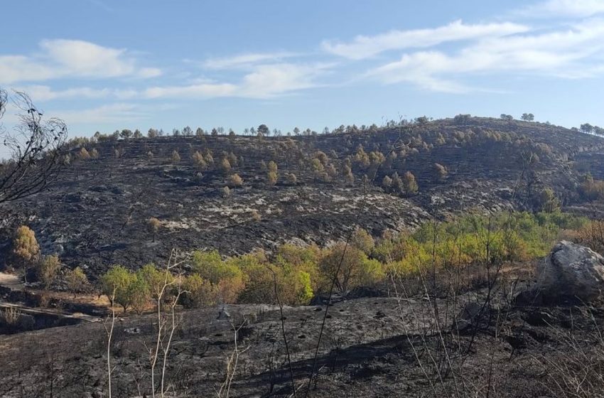  Controlado el incendio forestal de Vall d’Ebo