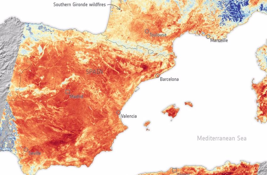 Los satélites de la ESA captan imágenes del calor extremo en Europa: hasta 55ºC en la superficie terrestre