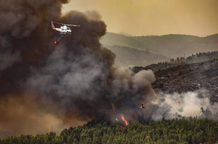 El fuego arrasa 60.518 hectáreas en una semana, hasta las 229.256 este 2022, el cuádruple de la media de la década