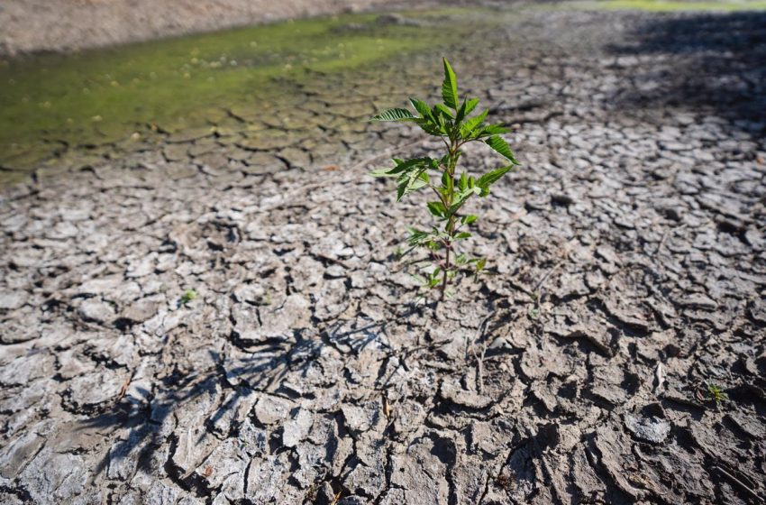  Expertos de Bruselas alertan de que Europa atraviesa la peor sequía en 500 años